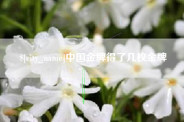 秦皇岛中国金牌得了几枚金牌