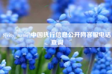 秦皇岛中国执行信息公开网客服电话查询