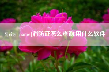 秦皇岛消防证怎么查询,用什么软件