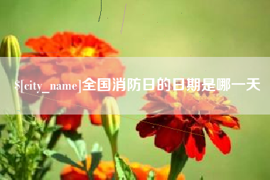 秦皇岛全国消防日的日期是哪一天