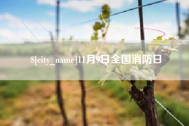 秦皇岛11月9日全国消防日