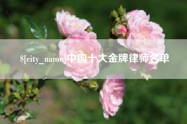 秦皇岛中国十大金牌律师名单