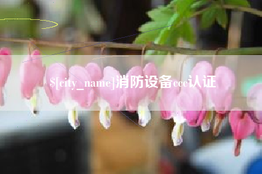 秦皇岛消防设备ccc认证
