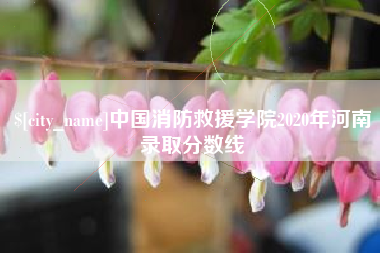 秦皇岛中国消防救援学院2020年河南录取分数线