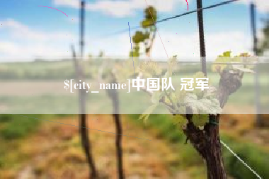 秦皇岛中国队 冠军