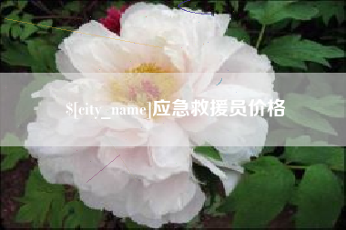 秦皇岛应急救援员价格