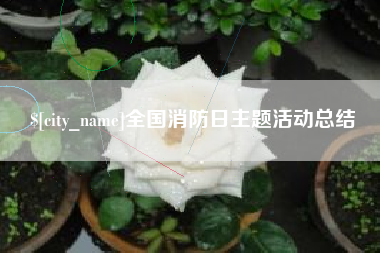 秦皇岛全国消防日主题活动总结