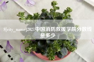 秦皇岛2021中国消防救援学院分数线是多少