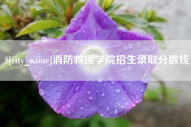 秦皇岛消防救援学院招生录取分数线