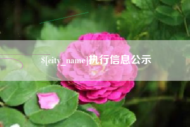 秦皇岛执行信息公示