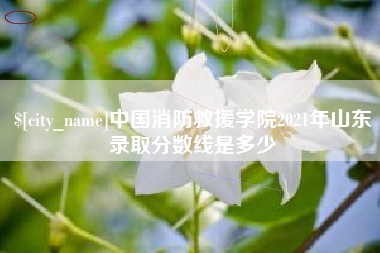 秦皇岛中国消防救援学院2021年山东录取分数线是多少