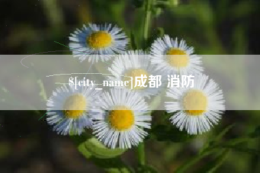 秦皇岛成都 消防