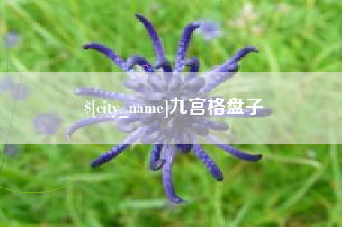 秦皇岛九宫格盘子