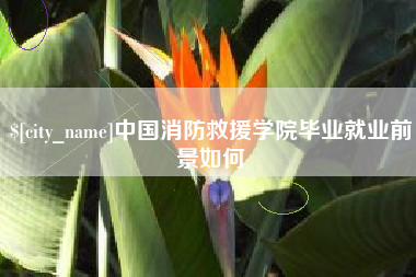 秦皇岛中国消防救援学院毕业就业前景如何