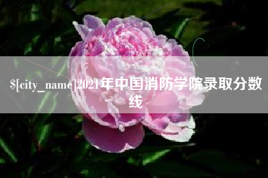 秦皇岛2021年中国消防学院录取分数线