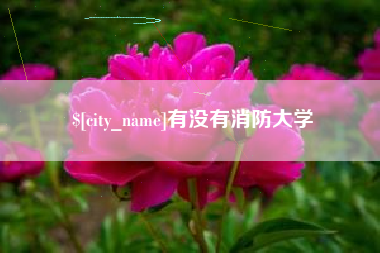 秦皇岛有没有消防大学