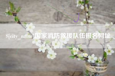 秦皇岛国家消防救援队伍报名网址