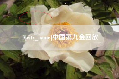 秦皇岛中国第九金回放