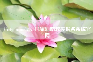 秦皇岛2020国家消防救援报名系统官网