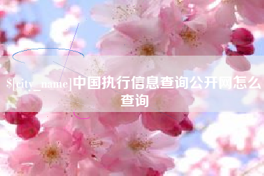 秦皇岛中国执行信息查询公开网怎么查询
