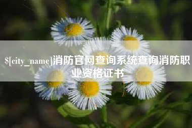秦皇岛消防官网查询系统查询消防职业资格证书