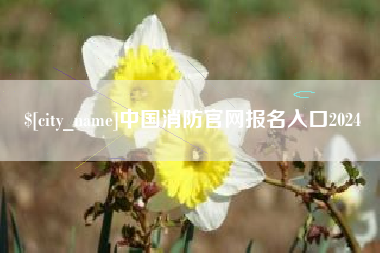 秦皇岛中国消防官网报名入口2024