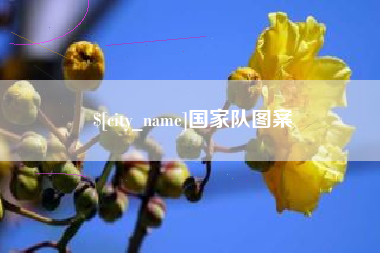 秦皇岛国家队图案