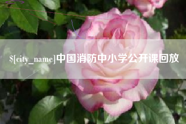 秦皇岛中国消防中小学公开课回放