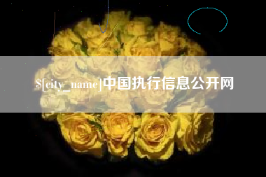 秦皇岛中国执行信息公开网