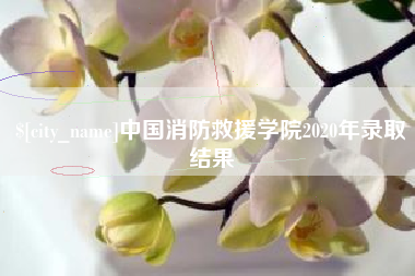 秦皇岛中国消防救援学院2020年录取结果