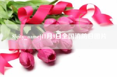 秦皇岛11月9日全国消防日图片