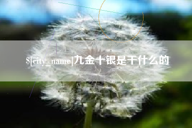 秦皇岛九金十银是干什么的