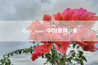 秦皇岛中国金牌18金
