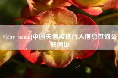 秦皇岛中国失信被执行人信息查询公开网址