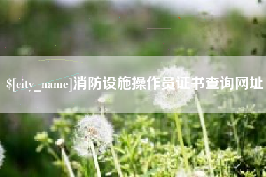 秦皇岛消防设施操作员证书查询网址