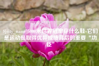 秦皇岛5000米世界冠军穿什么鞋-它们是运动员取得优异成绩背后的重要“功臣”
