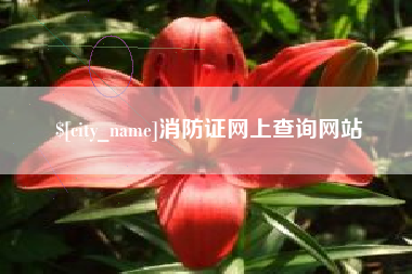秦皇岛消防证网上查询网站