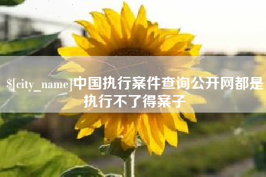 秦皇岛中国执行案件查询公开网都是执行不了得案子