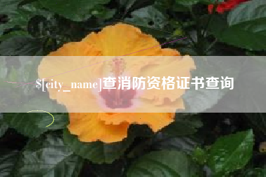 秦皇岛查消防资格证书查询