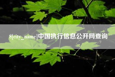 秦皇岛中国执行信息公开网查询