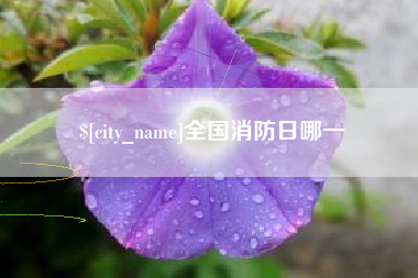 秦皇岛全国消防日哪一