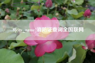 秦皇岛消防证查询全国联网