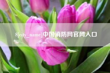 秦皇岛中国消防网官网入口