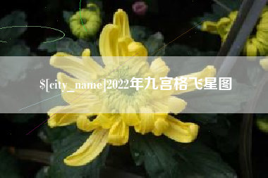 秦皇岛2022年九宫格飞星图