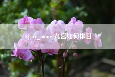 秦皇岛九宫如何排日