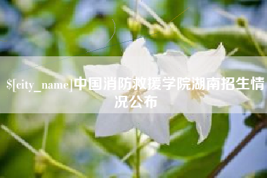 秦皇岛中国消防救援学院湖南招生情况公布