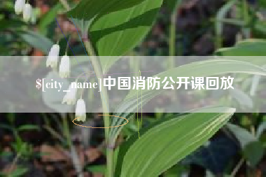 秦皇岛中国消防公开课回放