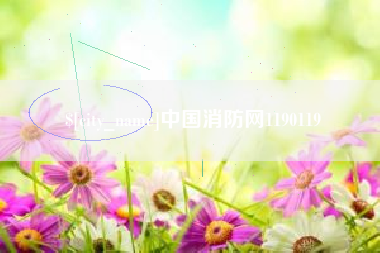 秦皇岛中国消防网1190119