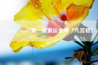 秦皇岛第一波奥运金牌“九宫格”