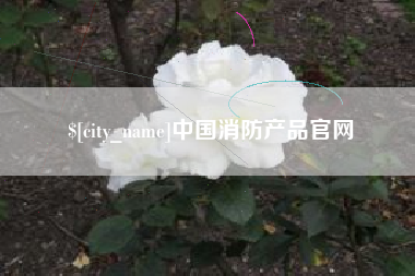 秦皇岛中国消防产品官网